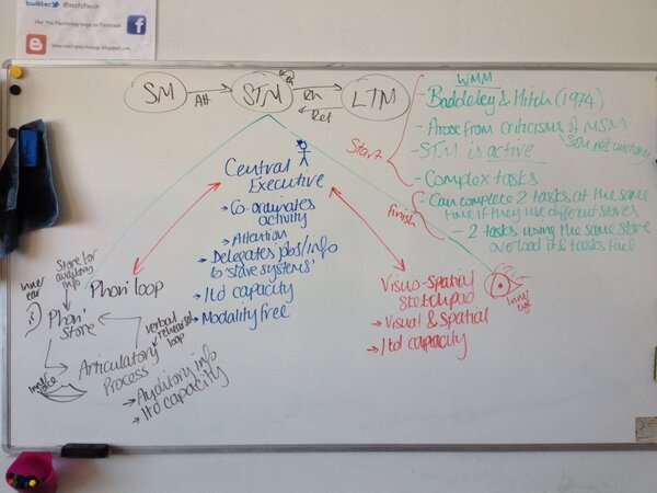 sscpsychology's tweet image. Well done block A!! #PSYA2
