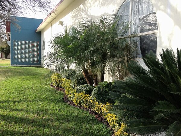 artcomunidad's tweet photo. Les compartimos una vista de @artcomx por la tarde… :) ¡feliz día! http://t.co/wAW93OR6