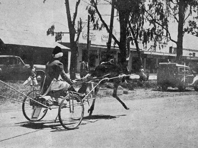 muendomullei's tweet photo. "@KResearcher: An ostrich driven cart on Government Road (Moi Avenue), Nairobi during the 1920's #KenyanHistory #KOT http://t.co/JeAWLx96lc"