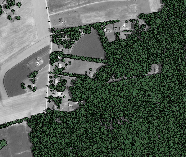jarlathond's tweet image. Great results extracting tree canopy for an entire county within a few hours. Thank you #lidar #ecognition.