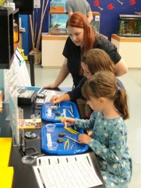 imag_sci's tweet image. FRI Family Nites continue tonite 5-8pm. Science Demos, Activities, Discovery  Lab. Special Adm &amp;amp; Dinner pkgs! 321.7420