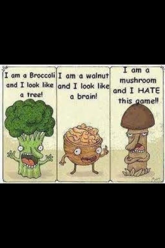 BinkyFelstead's tweet photo. ... Well it made me laugh! http://t.co/uU8uBNik