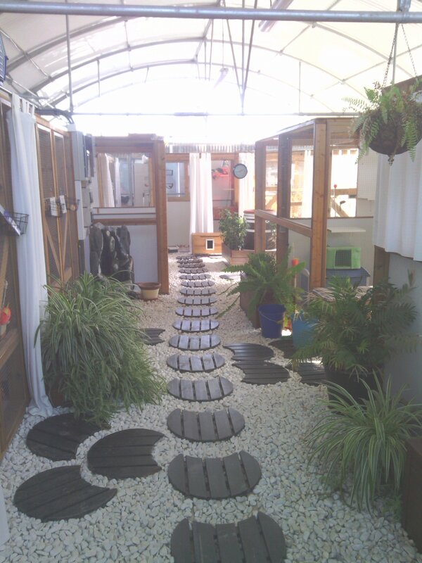 Hoy en Gatosphera,sin duda la mejor residencia de gatos de España.