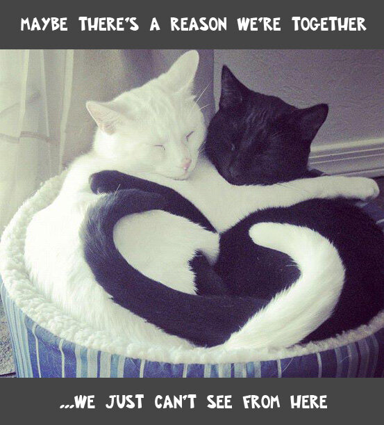 Wingaroo_Game's tweet image. Wingaroo Adventure: free online kids game - VIDEO, short version. youtube.com/watch?v=w33YhI…