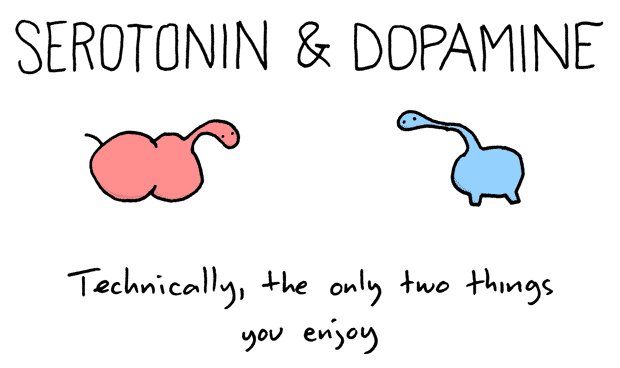 Craig Sullivan on Twitter: "RT @AndSFaulkn Serotonin and Dopamine cartoon : http://t.co/65LSQGuj (cc : @morys lol!)"