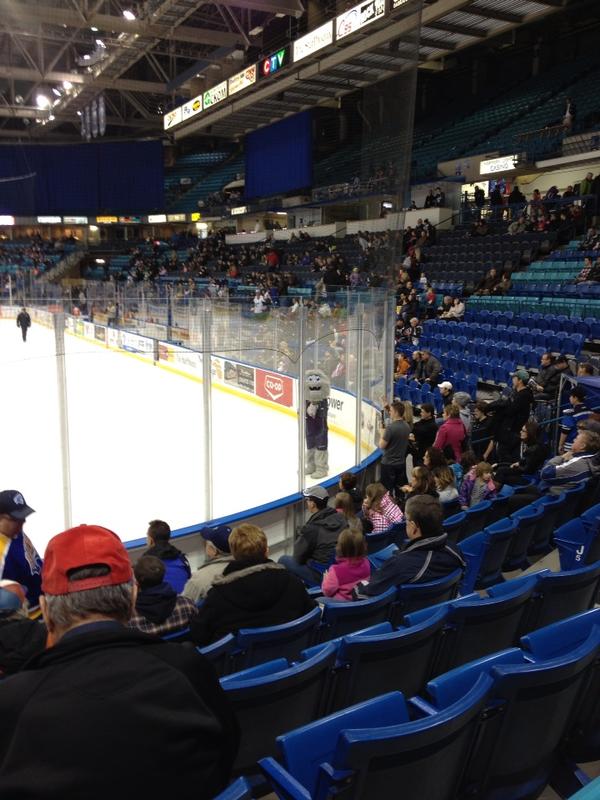 turkloeppky's tweet image. He looked right at me!!! #special @BladesGDNow #pokecheck