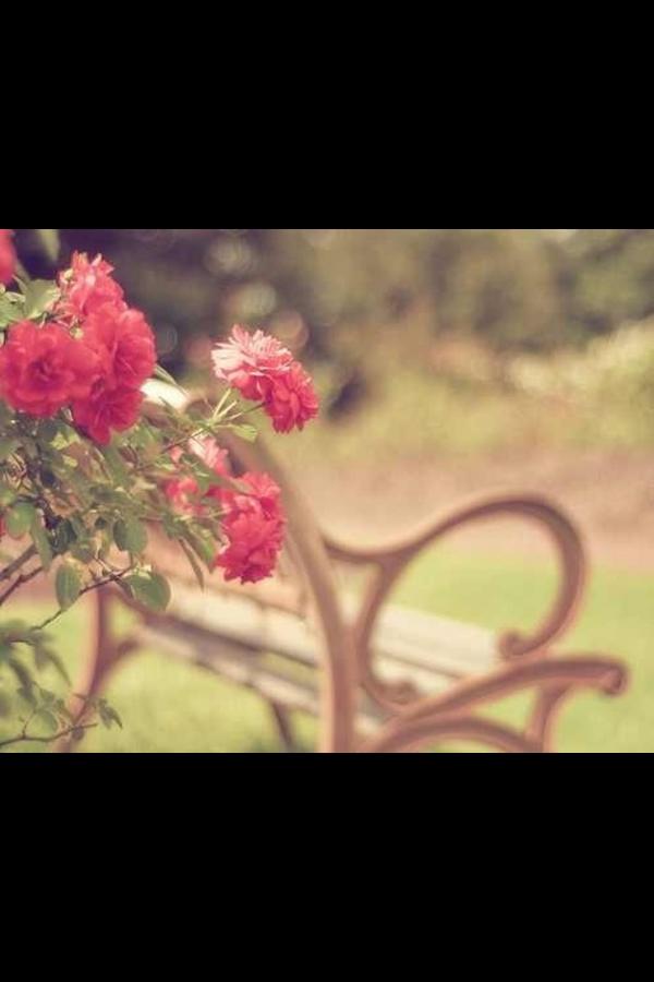 noor201110's tweet photo. http://t.co/H1yzmi9H