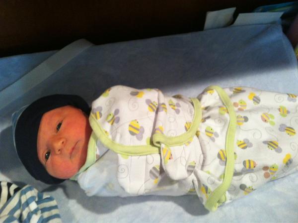 Liz Sanderson tweet media