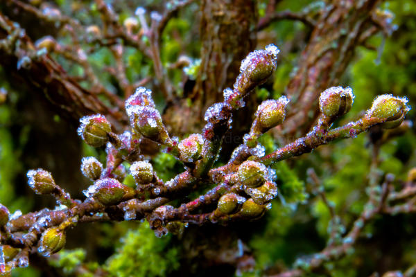 JSowderPhoto's tweet image. Just uploaded 1 new photo to my PicasaWeb "Countryside" album: picasaweb.google.com/10860564437045… GO CHECK THEM OUT :-)