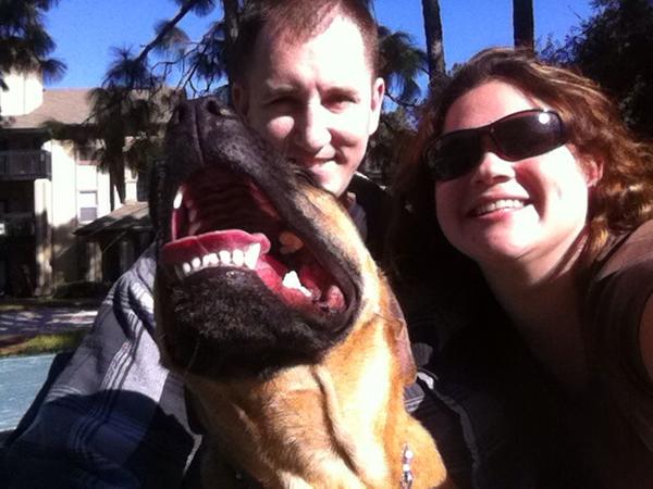 DogTraining201 tweet picture