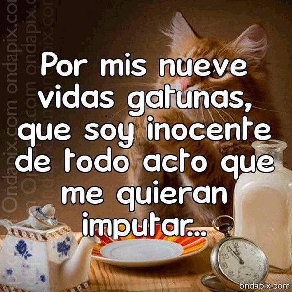MUJER_CASUAL37's tweet photo. http://t.co/ujPJydgF