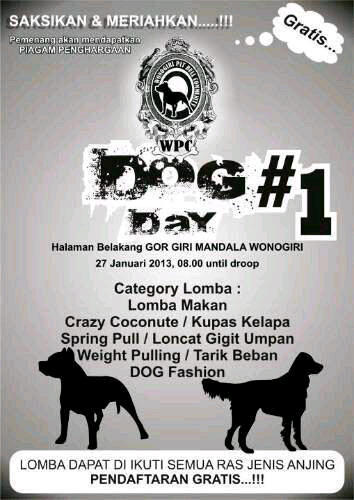 PitBullCilacap's tweet photo. @SPBC_semarang @PPBC_PADANG @PitD06 @Solo_Pitbull @PMC_Pitbull @InfoPitbull @Pitbullcomunity http://t.co/zgDL4K9C