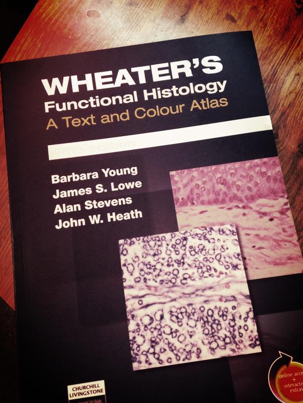 twinnerdos's tweet image. Can anyone tell me what fictional histology is? #commmajorproblems