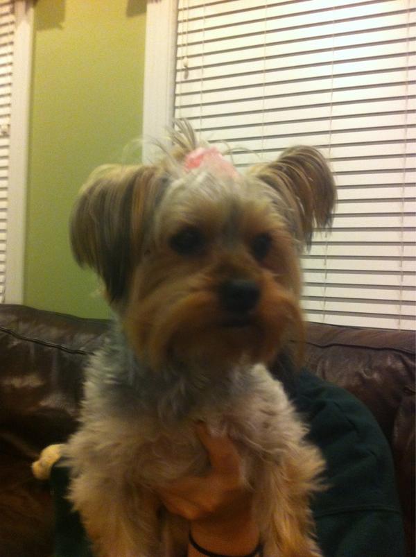 lhtupper's tweet image. The real apple of my eye .... @kjtupp