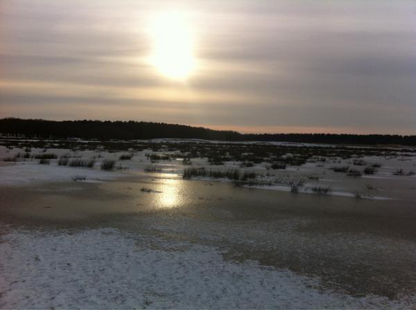 wielp's tweet photo. Super ochtendwandeling gemaakt http://t.co/FOUt9dmN