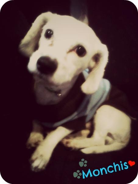QareenRoock's tweet photo. Mi bb' monchis http://t.co/rYxiWlHZ