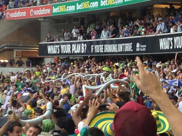 AnnaMaxwell5's tweet photo. God loved the beer snake so he put the cricket back on #CommBankODI http://t.co/Vpagztpw