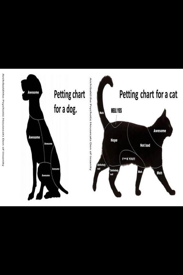 Dog Petting Chart