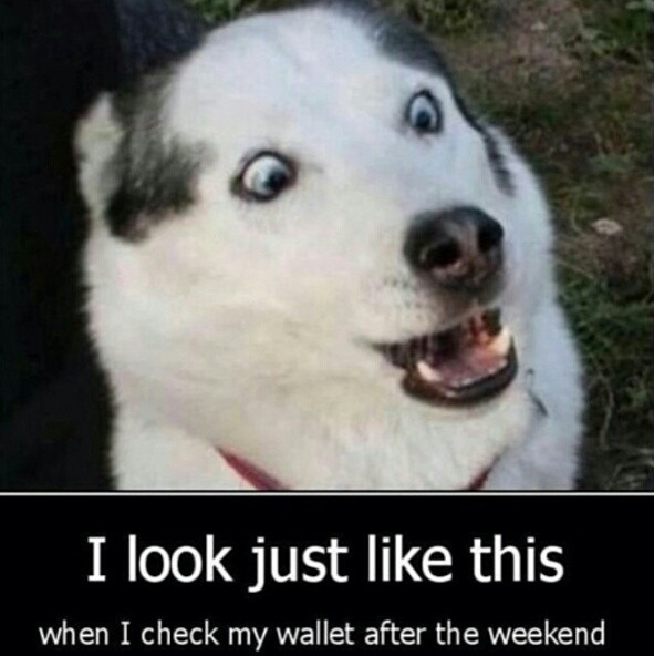 comedysexy's tweet photo. Pocket money--> http://t.co/Eyme7nsg