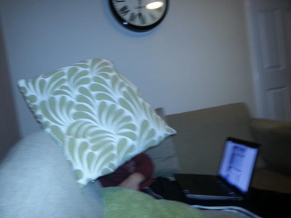 kozza85's tweet image. Petleys got the hump