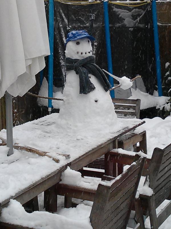 markdfirth tweet media