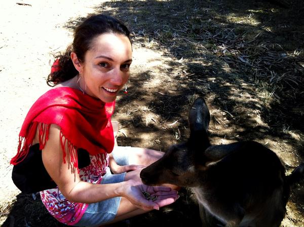 kseley's tweet photo. And Kangaroo. http://t.co/YT0BK1tn