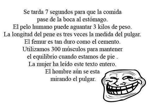 [Imagen: BBGDhkzCUAITee9.jpg:large]
