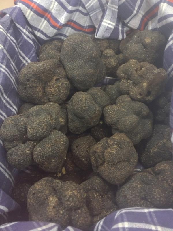 nimadi's tweet photo. A basket of truffles from @urbanitruffles at the fancy food show @nasft #wffs13 #truffles http://t.co/D0NIlYG2