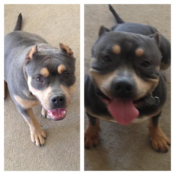 _RunninRebel's tweet image. My beautiful baby&apos;s are gonna make beautiful baby&apos;s 😏