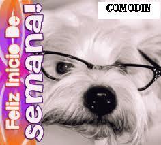 Comodin tweet media