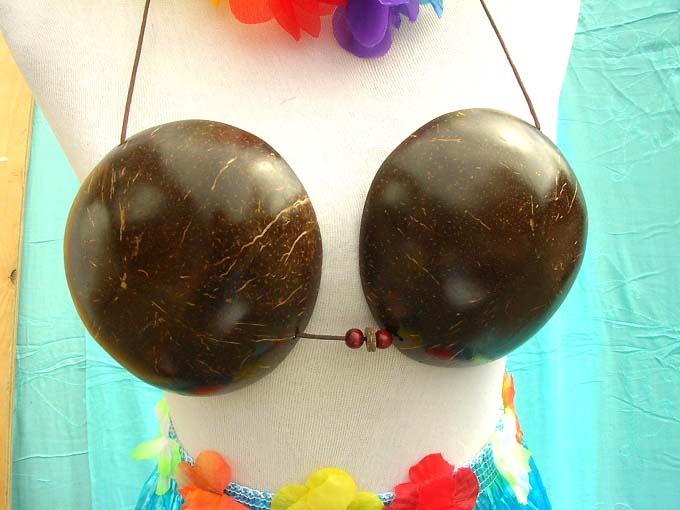 Wholesale Clothing on X: demi cut coconut shell hula bra #wholesale  #clothing #jewelry #fashion  / X