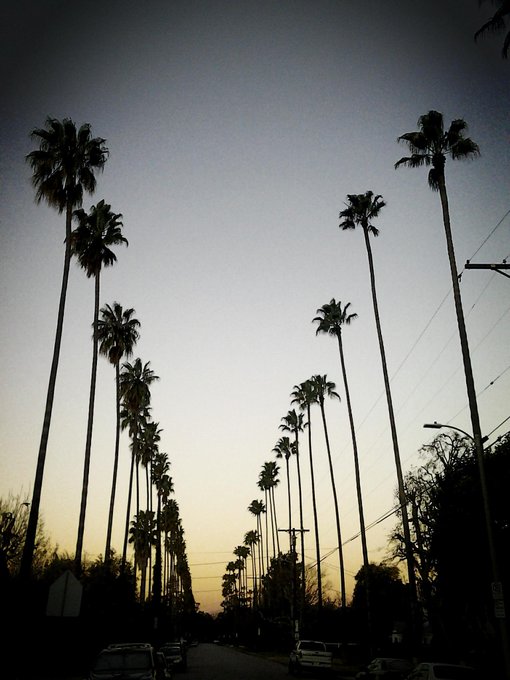 Beautiful morning LA.. http://t.co/vthkoDAa