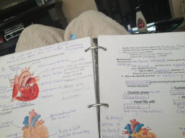 _brooklynavery's tweet image. Been staring at this page for too long now ... #bio30