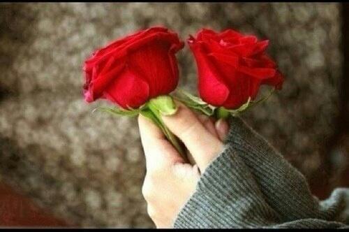bayan243 tweet picture
