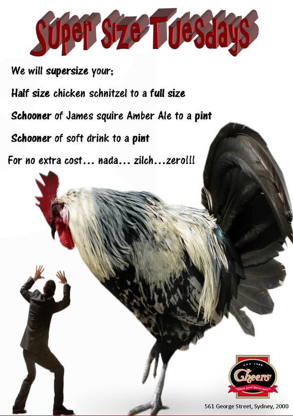 Cheers Bar (@cheersbarsydney) on Twitter photo Cheers Bar <a href="/CheersBarSydney/">Cheers Bar</a> It's super size Tuesday... Come on down for a schnitzel feast at a bargain price Cheers Bar <a href="/CheersBarSydney/">Cheers Bar</a> It's super size Tuesday... Come on down for a schnitzel feast at a bargain price