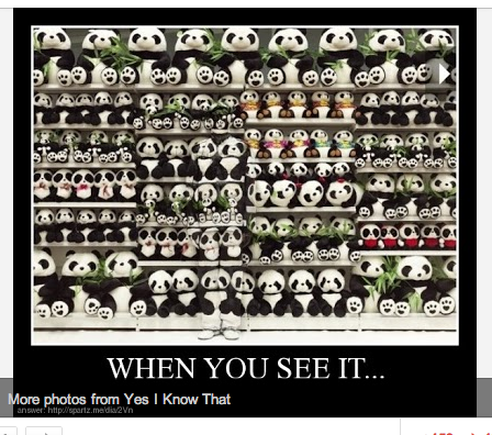 Seriously? Why is my computer being a bitch? Pandas are the last thing I want to see. http://t.co/Ie<a href="/tag/fan"class="tags"><span>#fan</span></a>