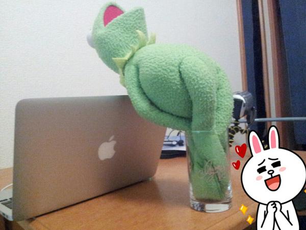 はじめしゃちょー Hajime カエルを絞ってジュースにしてみた Http T Co Whwtogod はじめしゃちょー Hajime カエルを絞ってジュースにしてみた Http T Co Whwtogod