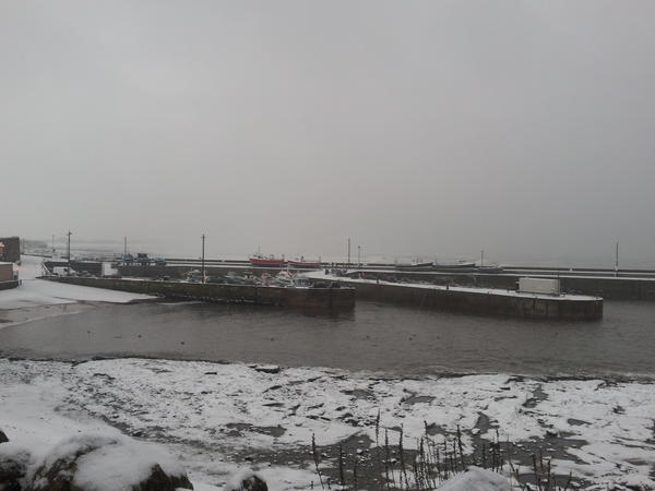 thefarnes's tweet photo. Its not very often you see snow at the harbour. http://t.co/HkUivDic