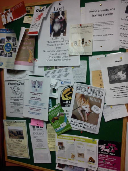 S.A.V.E. YSI Group (@saveysi) on Twitter photo 