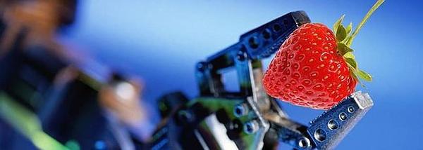 disurca1's tweet photo. La empresa onubense Agrobot pondrá a prueba su máquina recolectora de fresas en una finca experimental de California. http://t.co/Qq0X4rJ5
