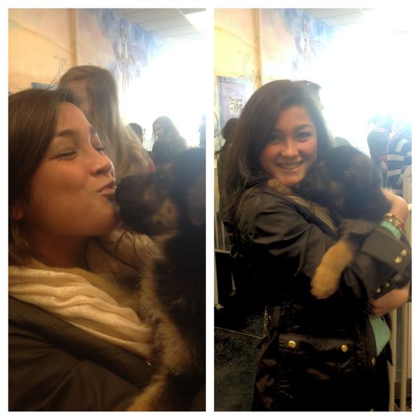 Meggssttaa's tweet photo. Puppy lovin' http://t.co/N1DvvFO9