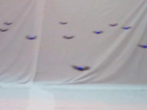 JackHayes's tweet image. Prof Kumar learns collaboration from ants and applies to autonomous quad rotor robot swarms. #robotapocalypse #SWW13