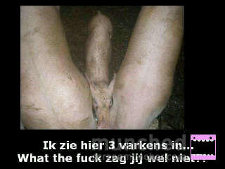 TrueCookingLove's tweet photo. Niet doordenken he... http://t.co/v93QWp8r