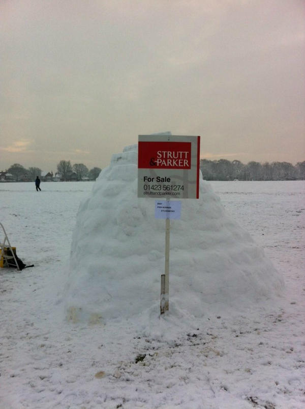 struttandparker's tweet photo. #iglooforsale raising excellent funds for @yorkshirecancer You can bid here http://t.co/H8XPVsTO pls RT http://t.co/SbLWiHdR