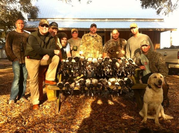 FeatherhornFarm's tweet photo. We love ducks. http://t.co/MH7E4wQv
