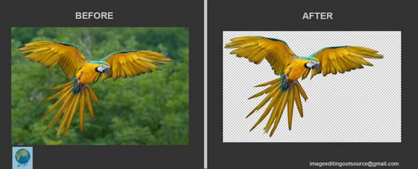 editing_image's tweet image. Image editing provides.clipping path,multi path, Tanprence Background,etc...
