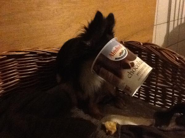 BMortel tweet picture