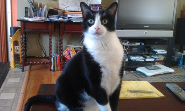 JeremyforPrez's tweet photo. @JeffMusk how does this work? http://t.co/CKaBCMQz