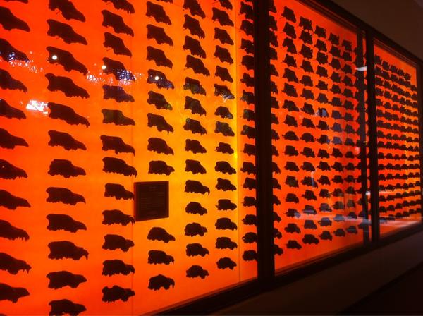 JesseSmigel's tweet photo. Welcome to the neverending wall of death. http://t.co/5PcL2laF
