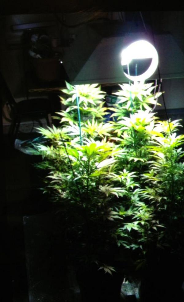 metalvixenn's tweet image. #badcamera